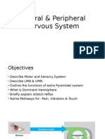 Central & Peripheral Nervous System PHYSIOLOGY