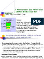 2010 Pollution Prevention Minimization