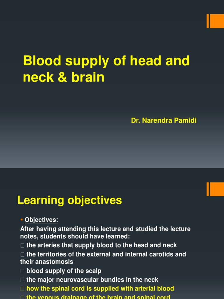 Blood Supply of Head and Neck | PDF | Common Carotid Artery | Neck