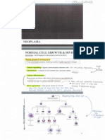 6.0 Neoplasia_PRINT_version.pdf