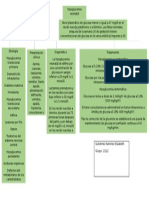Hipoglucemia Neonatal