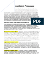 Ulei de Sunatoare Preparare PDF