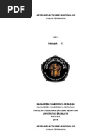 Download LAPORAN Planktonologi by elhamfirdaus SN282790356 doc pdf