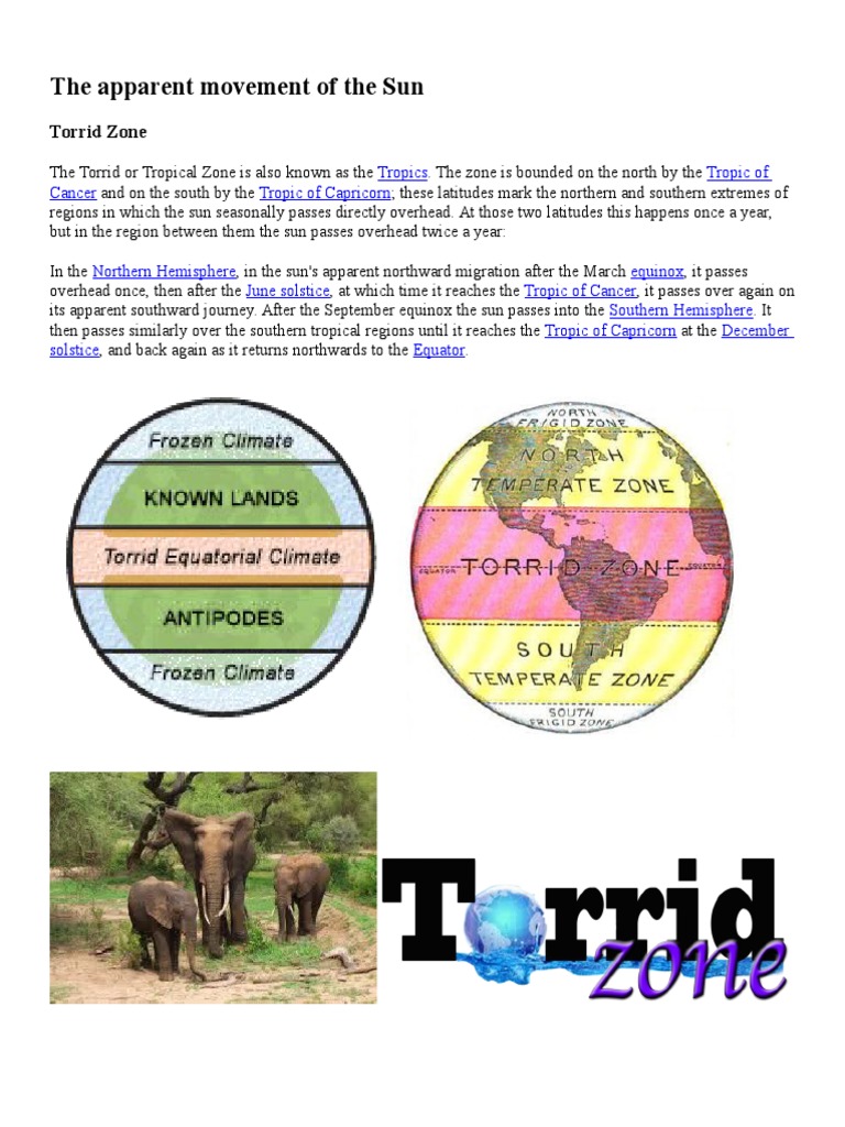 Torrid Zone PDF