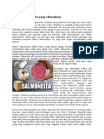 Salmonella 2