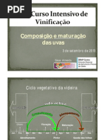 Composicao Maturacao Uvas 107