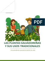 plantas_salvadorenas_usostradicionales