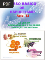 ( Espiritismo) - C B - Aula 12 – As Leis Da Reencarnacao E Do Carma # 02.pptx