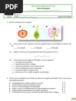 Ficha de Avaliação