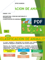 Clasificaciondelosanimales 101015190733 Phpapp02