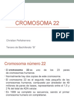 Cromosoma 22