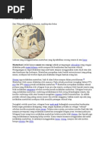 Masturbasi Wikipedia | PDF | Ilmu Sosial | Pengembangan Diri