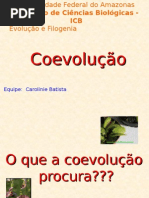 Coevolução