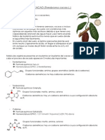 Cacao química orgánica