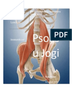 Psoas u jogi