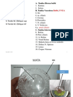 PRAKTIKUM ANATOMI 2010.pdf