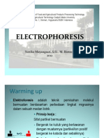 PT 11 Elektroforesis Aphp 2