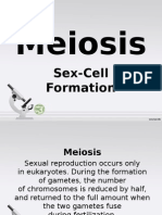 Meiosis: Sex-Cell Formation