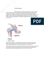 Anatomi Dan Fisiologi Ligamen