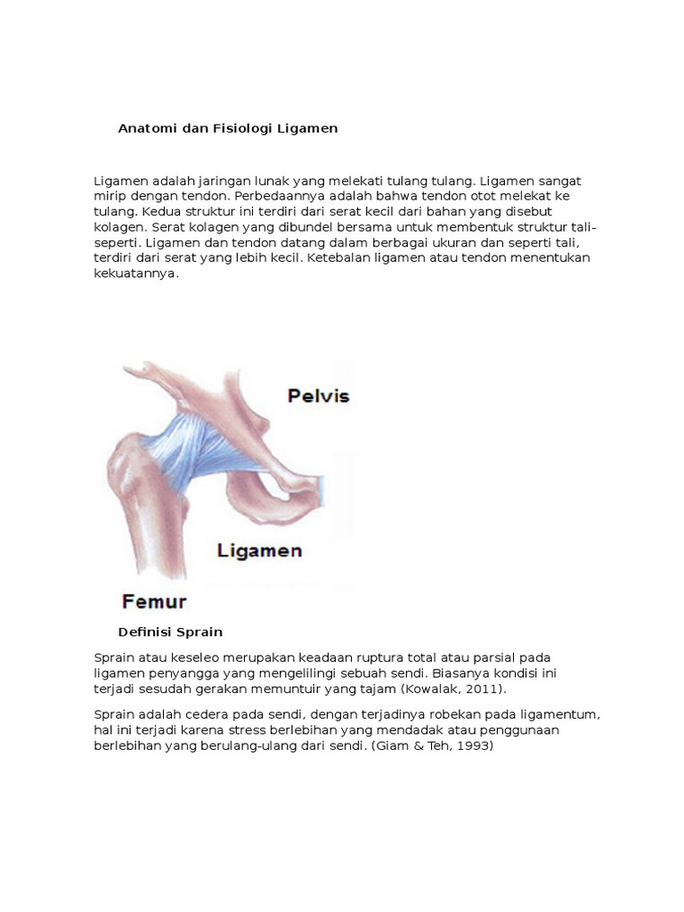 Anatomi Dan Fisiologi Ligamen PDF
