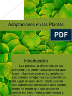 Adaptaciones de Las Plantasppt