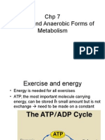 CHP 7 Aerobic and Anaerobic Forms of Metabolism