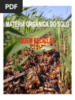 LSN_5897 3-Organismos Do Solo