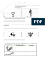 Prueba Sistemas Cuerpo 1