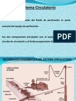 Sistema Circulatorio y Control de Sólidos PDF