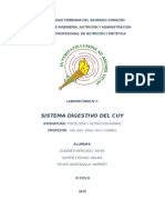 Informe Sistema Digestivo Del Cuy