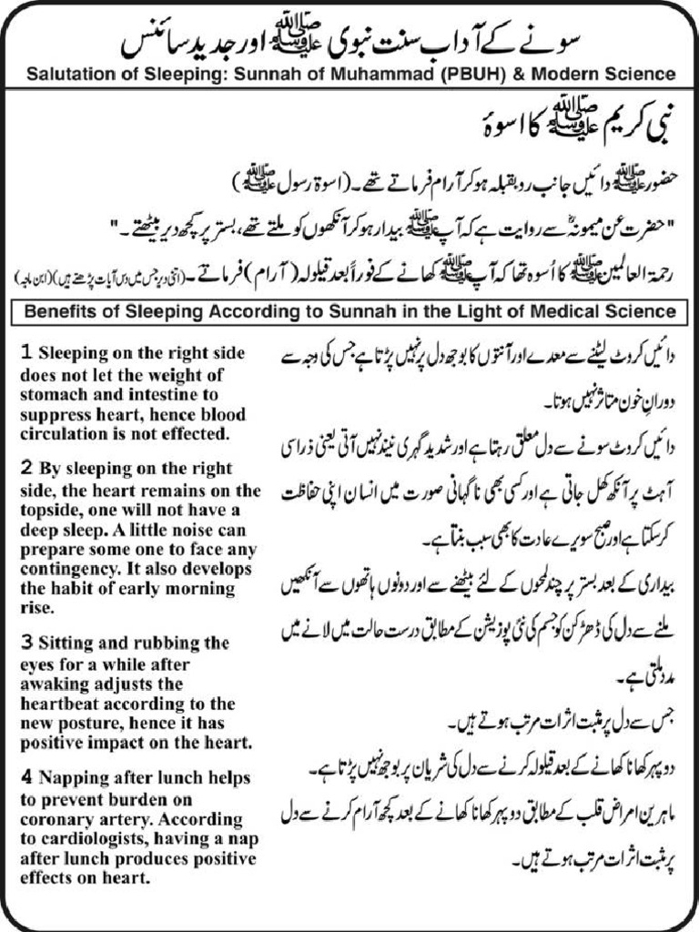 Sunnah in Daily Life (English & Urdu) Abrahamic Religions Semitic