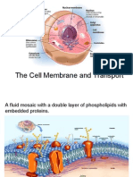 CH 05 Cell Membrane and Transport