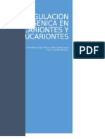 Regulación Génica en Procariontes y Eucariontes.