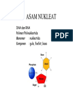 Asam Nukleat Protein Transkripsi Replikasi PDF