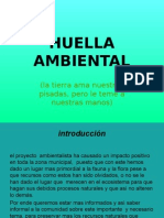 proyecto ambiental