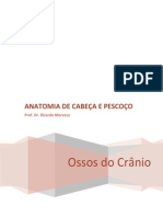 Ossos Do Crânio