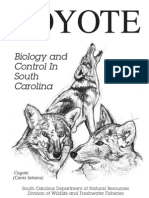Coyote Info in SC From DNR