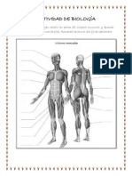 ACTIVIDAD DE BIOLOGÍA 7.pdf