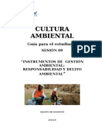 Gestion Ambiental   