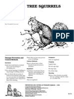 Tree Squirrels: Damage Prevention and Control Methods