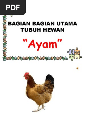54+ Gambar Bagian Tubuh Hewan Ayam HD Terbaru