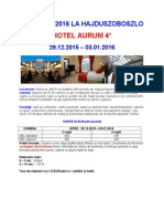 Oferta Speciala Revelion Hotel Aurum - Hajduszoboszlo