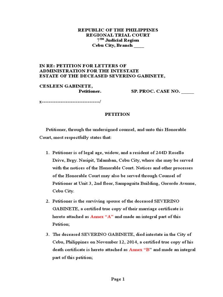 Settlement of Estate PDF Intestacy Government