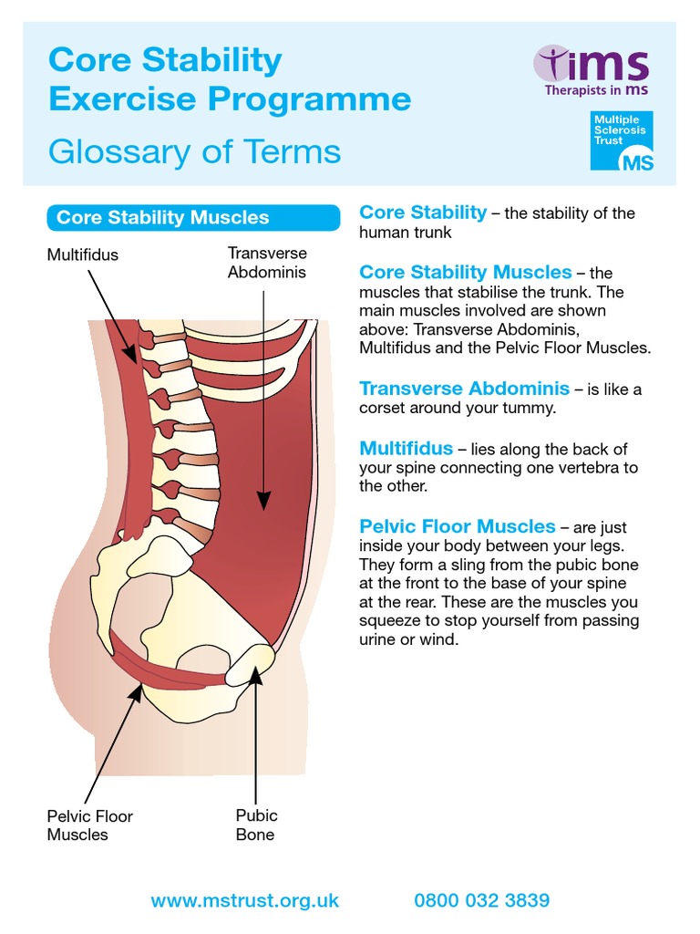 Core Stability Exercises Guide | PDF