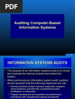 Auditing Computer-Based Information Systems