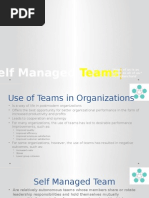 Self Managed Teams