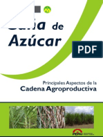 Agro economia de la cana de azucar