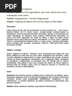 Ewe Yeye - Ewe Iranwole - Flor de San Diego