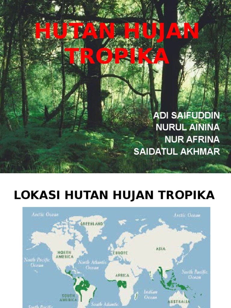 Hutan Hujan Tropika Update