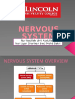 Nervous System: Nur Nabilah Binti Abdullah Nur Izyan Shahirah Binti Mohd Bakri